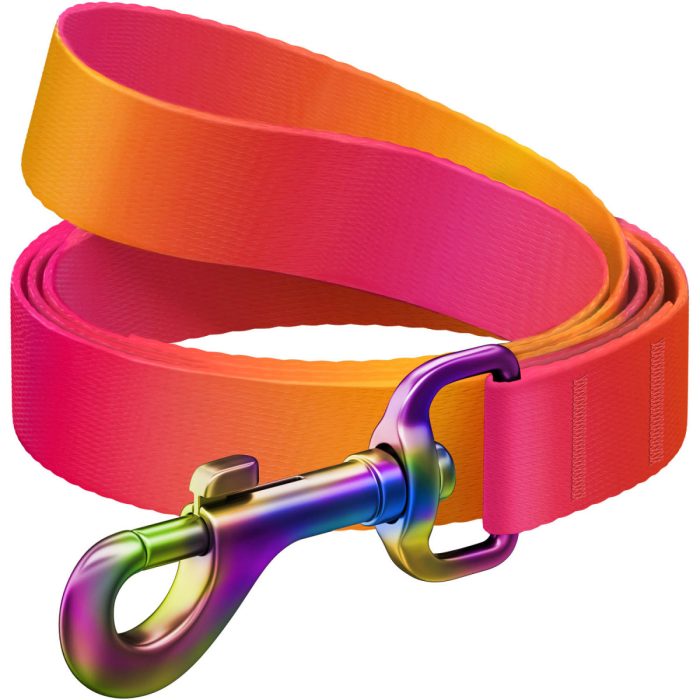 WAUDOG Nylon Recycled повідець для собак, розмір S (15 мм х 122 см), градієнт помаранчевий (сталевий карабін)