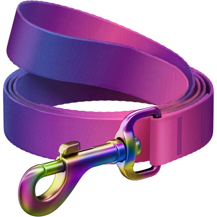 WAUDOG Nylon Recycled повідець для собак, розмір S (15 мм х 122 см), фіолетовий