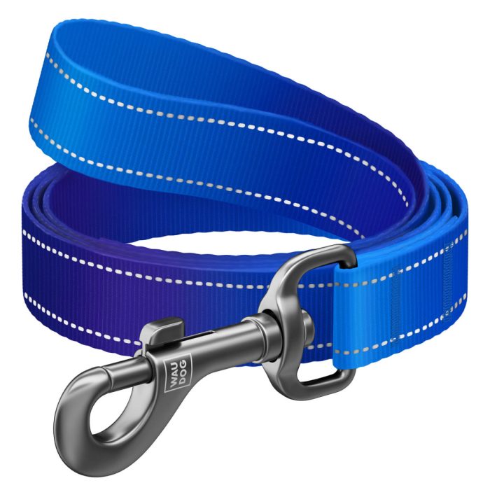 WAUDOG Nylon повідець для собак, розмір S (15 мм х 300 см), синій