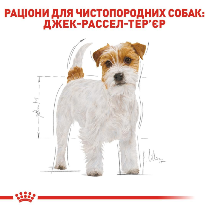 Royal Canin JACK RUSSEL ADULT сухой корм для собак (птица) 7.5 кг