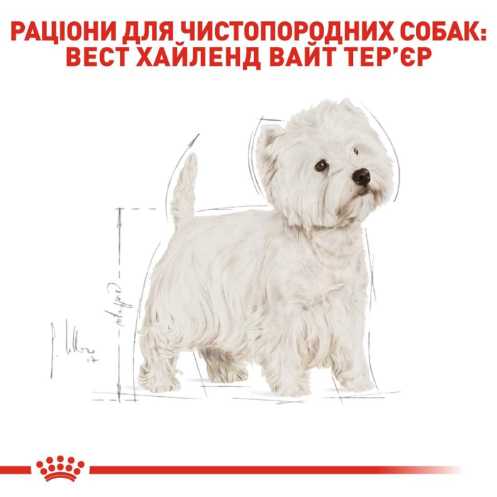 Royal Canin WESTIE ADULT сухой корм для собак (птица) 3 кг