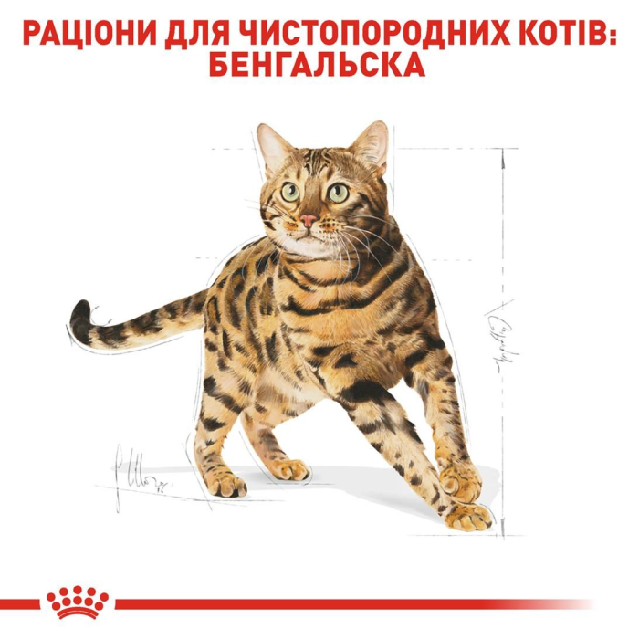 Royal Canin BENGAL ADULT сухой корм для кошек (птица) 2 кг