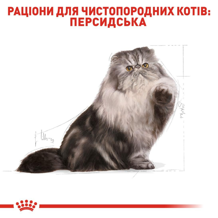 Royal Canin PERSIAN ADULT сухий корм для котів (птиця) 2 кг