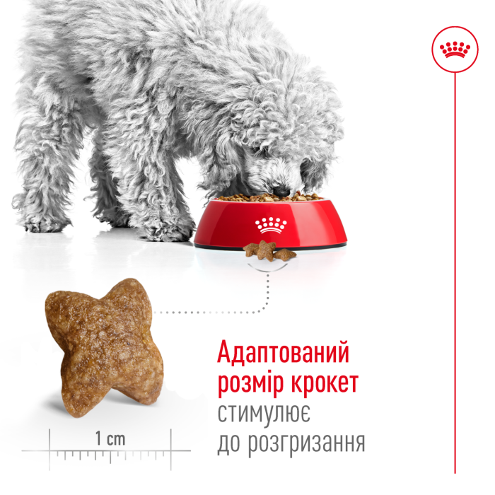 Royal Canin MINI ADULT сухой корм для собак (птица) 8 кг