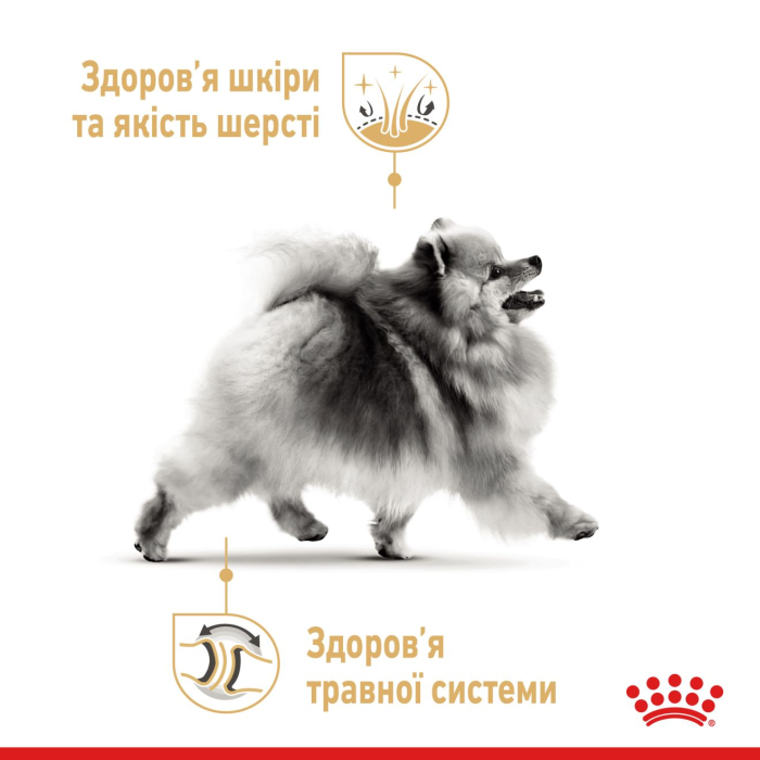 Royal Canin POMERANIAN ADULT сухой корм для собак (птица) 0.5 кг