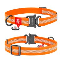 WAUDOG Waterproof нашийник для собак, розмір M (20 мм, 28-40 см), зі світловідбивачем, металева пряжка-фастекс, помаранчевий