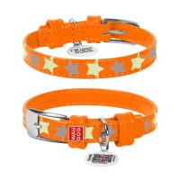 WAUDOG Glamour ошейник для собак, размер XS (12 мм, 19-25 см), узор "Звездочка", светится в темноте, оранжевый