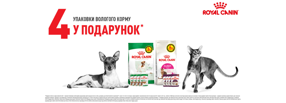 Royalcanin