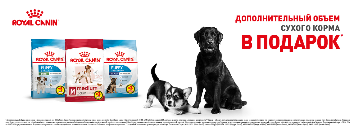 Royal canin