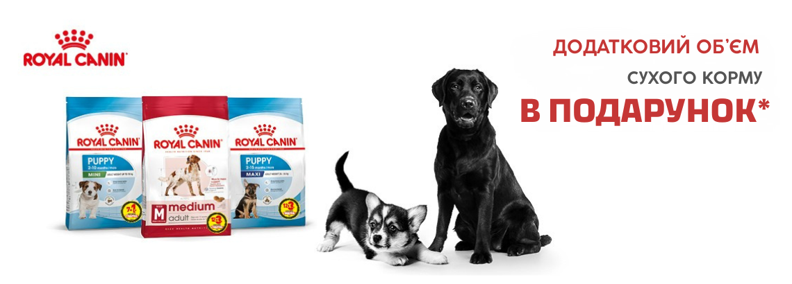 Royal canin