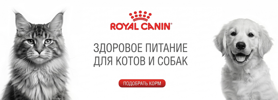 Royal canin