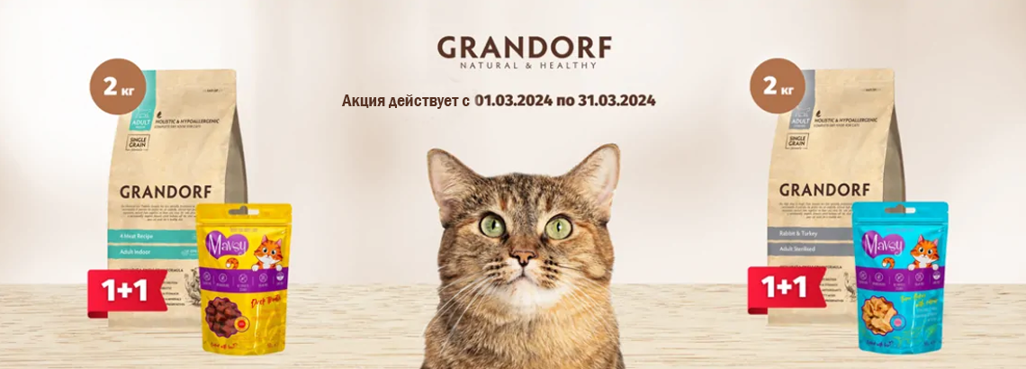 Grandorf_cat