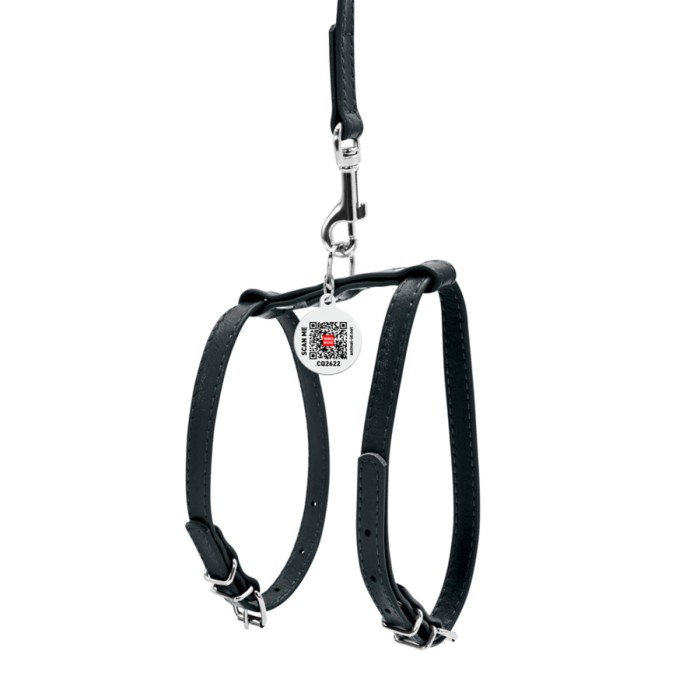 Шлея Collar "WAUDOG GLAMOUR" з повідцем для кішок, дрібних собак, Ш 12мм, чорний