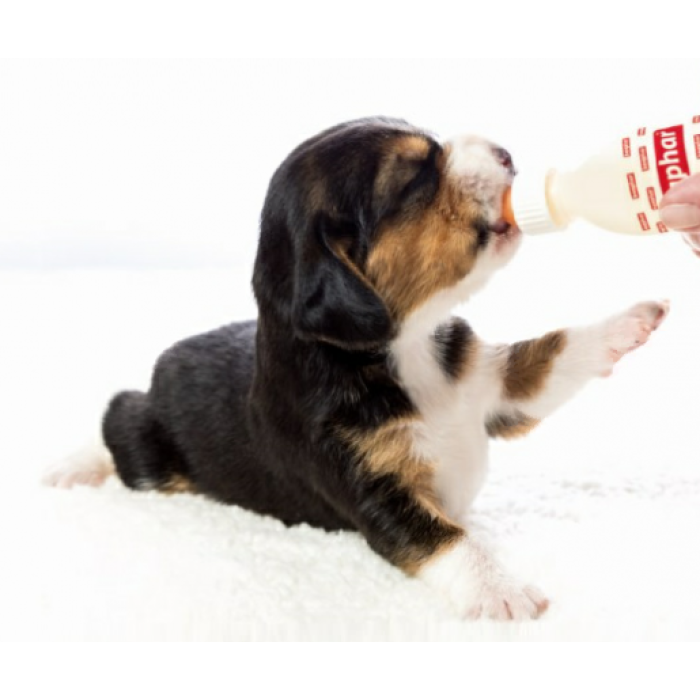 Beaphar Lactol Puppy Milk Молочна суміш для цуценят, 250мл