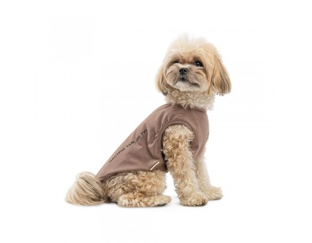 Борцівка Kale ТМ Pet Fashion для собак XS2 коричнева