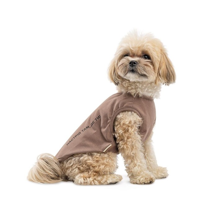 Борцівка Kale ТМ Pet Fashion для собак S коричнева