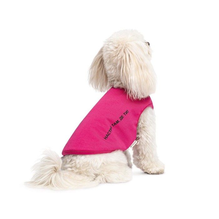Борцівка Kale ТМ Pet Fashion для собак S малина