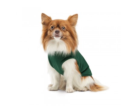 Борцівка Kale ТМ Pet Fashion для собак XS2 зелена