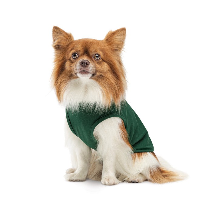 Борцівка Kale ТМ Pet Fashion для собак XS зелена