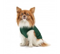 Борцівка Kale ТМ Pet Fashion для собак S зелена..