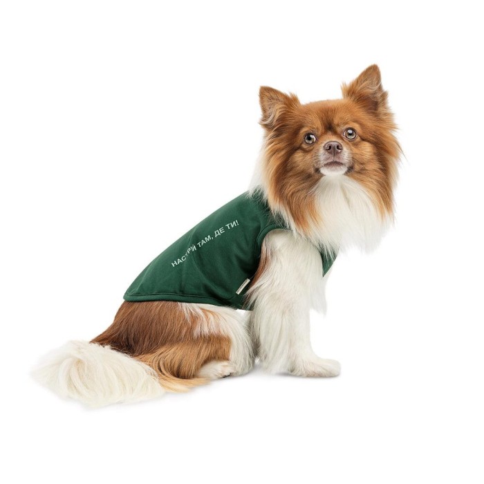 Борцівка Kale ТМ Pet Fashion для собак XS2 зелена