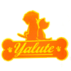 Yalute