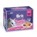 Влажный корм Brit Premium Набор паучей для кошек Family Plate Jelly Кусочки в желе 12x85 г
