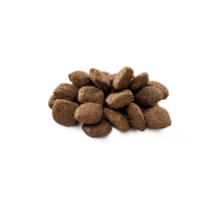 Сухий корм для собак з чутливим травленням Brit Premium Dog Sensitive Lamb з ягням, 1 кг 