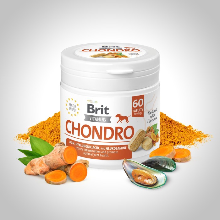 Вітаміни для собак Brit Vitamins Biotin Skin & Coat Care для шкіри та шерсті 60 таблеток