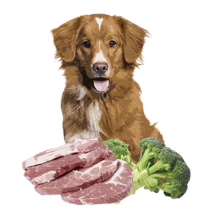 Полувлажный корм Orygo Pork для взрослых собак, Ориго Порк, свинина, 8 кг