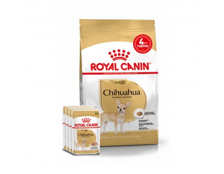 Акция // Сухой корм для взрослых собак ROYAL CANIN CHIHUAHUA ADULT 1,5кг + 4 пауча в подарок