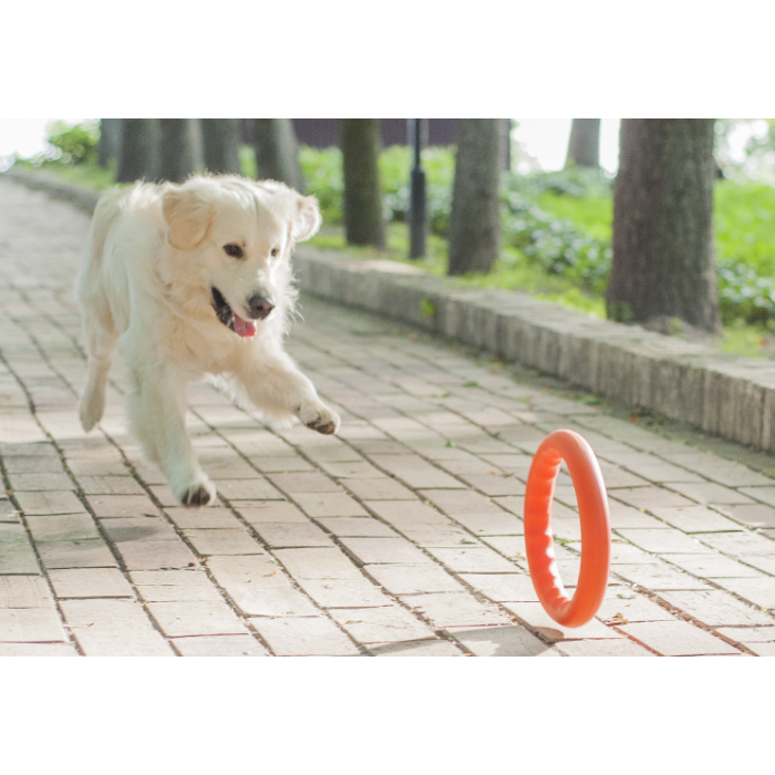 COLLAR PitchDog - кольцо игрушка для собак, ?20 см Оранжевый