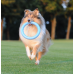 COLLAR PitchDog - кольцо игрушка для собак, Д20 см Голубой  - фото 2