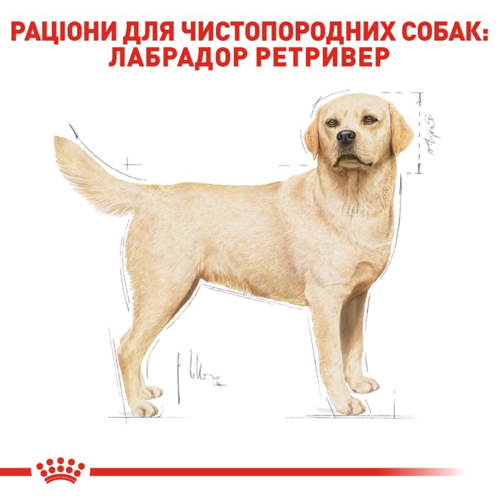 Корм для дорослих собак ROYAL CANIN LABRADOR ADULT 12.0 кг