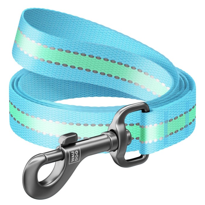 Повідець WAUDOG Nylon, що світиться, 20 мм/122 см, блакитний