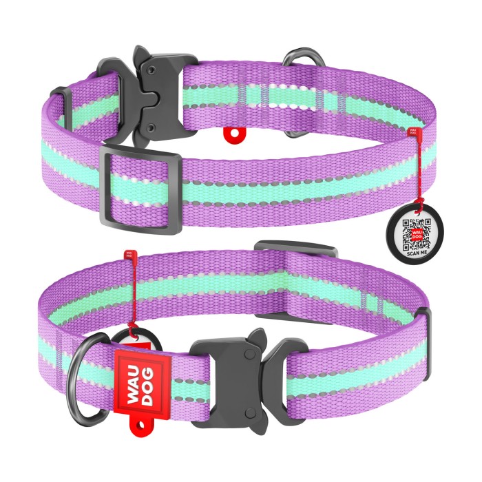 Нашийник WAUDOG Nylon з QR-паспортом, що світиться, металева пряжка-фастекс, 25 мм/31-49 см, фіолетовий