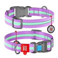 Ошейник WAUDOG Nylon с QR-паспортом, светящийся, пластиковая пряжка-фастекс, 15 мм/23-35 см, фиолетовый