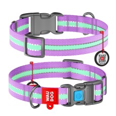 Ошейник WAUDOG Nylon с QR-паспортом, светящийся, пластиковая пряжка-фастекс, 25 мм/35-58 см, фиолетовый