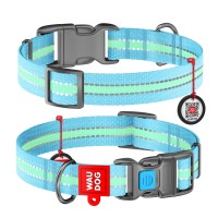 Ошейник WAUDOG Nylon с QR-паспортом, светящийся, пластиковая пряжка-фастекс, 15 мм/23-35 см, голубой