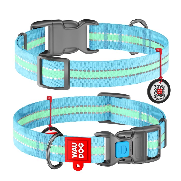 Нашийник WAUDOG Nylon з QR-паспортом, що світиться, пластикова пряжка-фастекс, 15 мм/23-35 см, блакитний