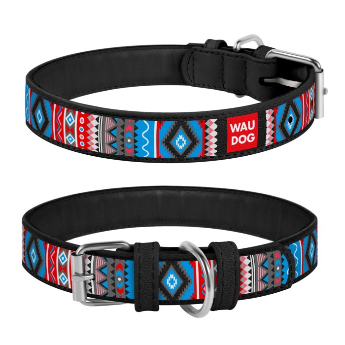 Ошейник WAUDOG Design с рисунком "Этно", премиум кожа, металлическая пряжка, 19-25 см, ширина 12 мм
