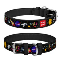 Ошейник WAUDOG Design с рисунком "NASA", премиум кожа, металлическая пряжка, 19-25 см, ширина 12 мм
