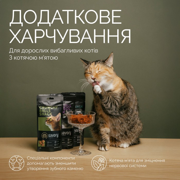 Хрумкі ласощі Savory Cats Snacks Crunchy Balls для вибагливих котів, кульки з котячою м'ятою, 60 г