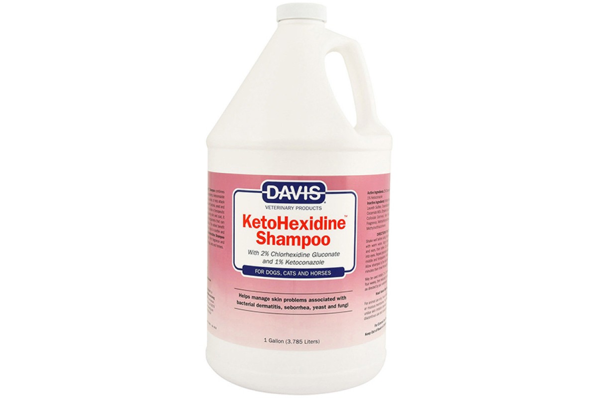Хлоргексидин собаке можно. Davis KETOHEXIDINE Shampoo для собак. Кетогексидин шампунь для собак Davis. Шампунь Davis KETOHEXIDINE Shampoo. Шампунь для собак с кетоконазолом Davis.