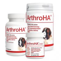 Dolfos ArthroHA (АртроГК) Комплекс для профилактики и лечения нарушений нормальной функции суставных хрящей и суставов, 90т