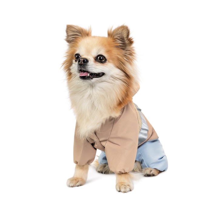 Pet Fashion Дощовик Tina XL дівчинка