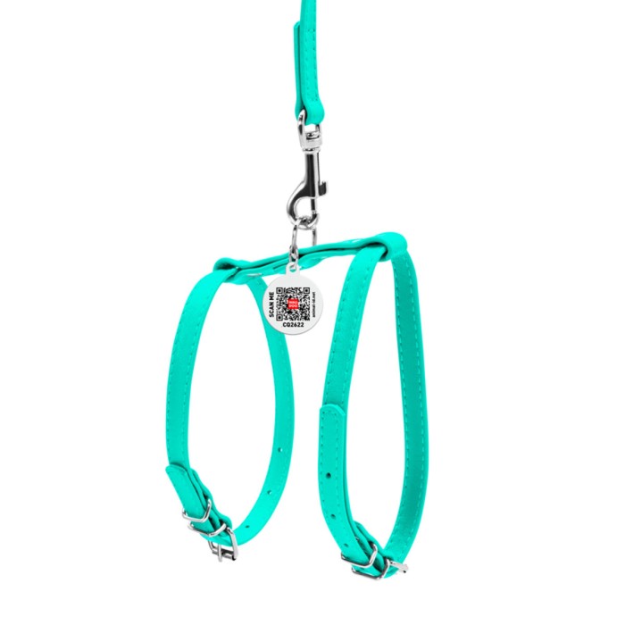 Шлея Collar "WAUDOG GLAMOUR" с поводком для кошек, мелких собак ш 12мм, ментоловый