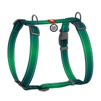 Шлейка для собак H-образный WAUDOG Nylon Mono с QR светоотражающий, размер L, Ш 25 мм, А 50-90 см, В 60-100 см зеленый