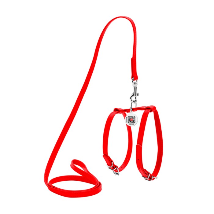 Шлея Collar "WAUDOG GLAMOUR" з повідцем для кішок, дрібних собак, Ш 12мм, червоний