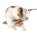Ferplast RAPTOR-ELECTRONIC TOY Електронна іграшка для котів, ? 48 x 34,5 см  - фото 3